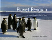 Planet penguin cover link